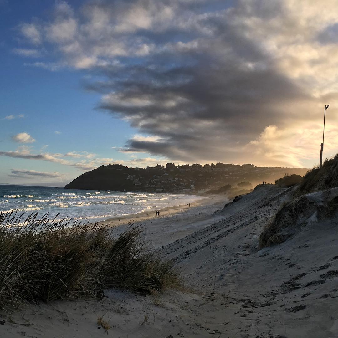 DNAttractions's tweet photo. Warmer days and longer evenings ☀️ #dunedinnz #dunedinattractions #newzealand https://t.co/ytG1TFbHOG https://t.co/VQR54UPjqN