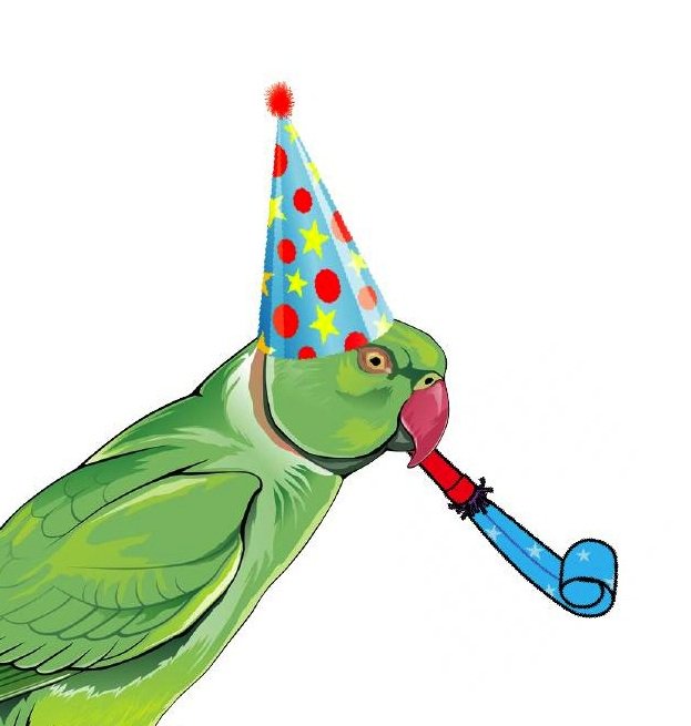 BexleyBrewery's tweet photo. #Parakeets in party hats! #bbbbbq https://t.co/AQuIKhS1G3