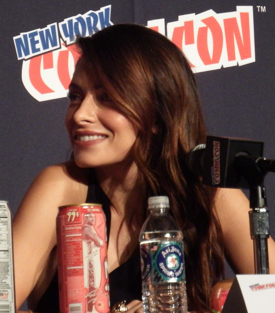 POIFANCON2015's tweet photo. Sarah's at her first NYCC for #PersonOfInterest
#SarahShahi #SameenShaw #NYCC2013 https://t.co/b73HkK82E8