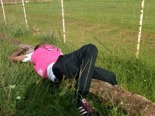 View image on Twitter