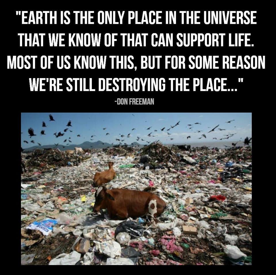 sandreti's tweet photo. #StopPollution
#StopExtinction
#ProtectOurCleanWater
#SaveOurForests
#GoVegan
#ActOnClimate
#SaveTheWorld https://t.co/TRXAmmot5k