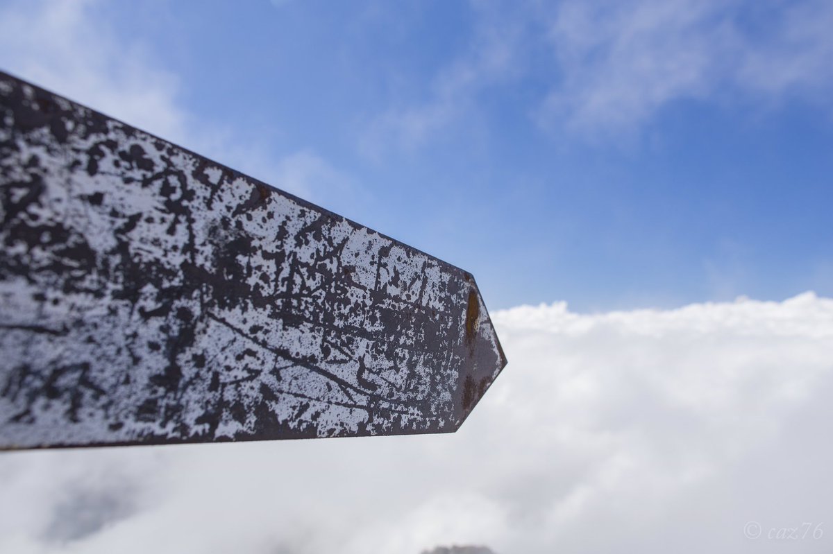 mathusalem tweet media