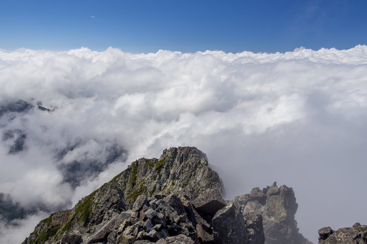 mathusalem tweet media