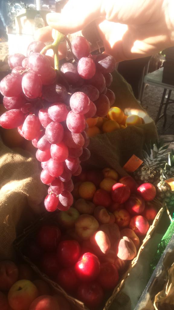 nbMiracle's tweet photo. @vennstmarket @brockmansfarm that wound be these!! #yummy #organic https://t.co/2aZVQCLy1V