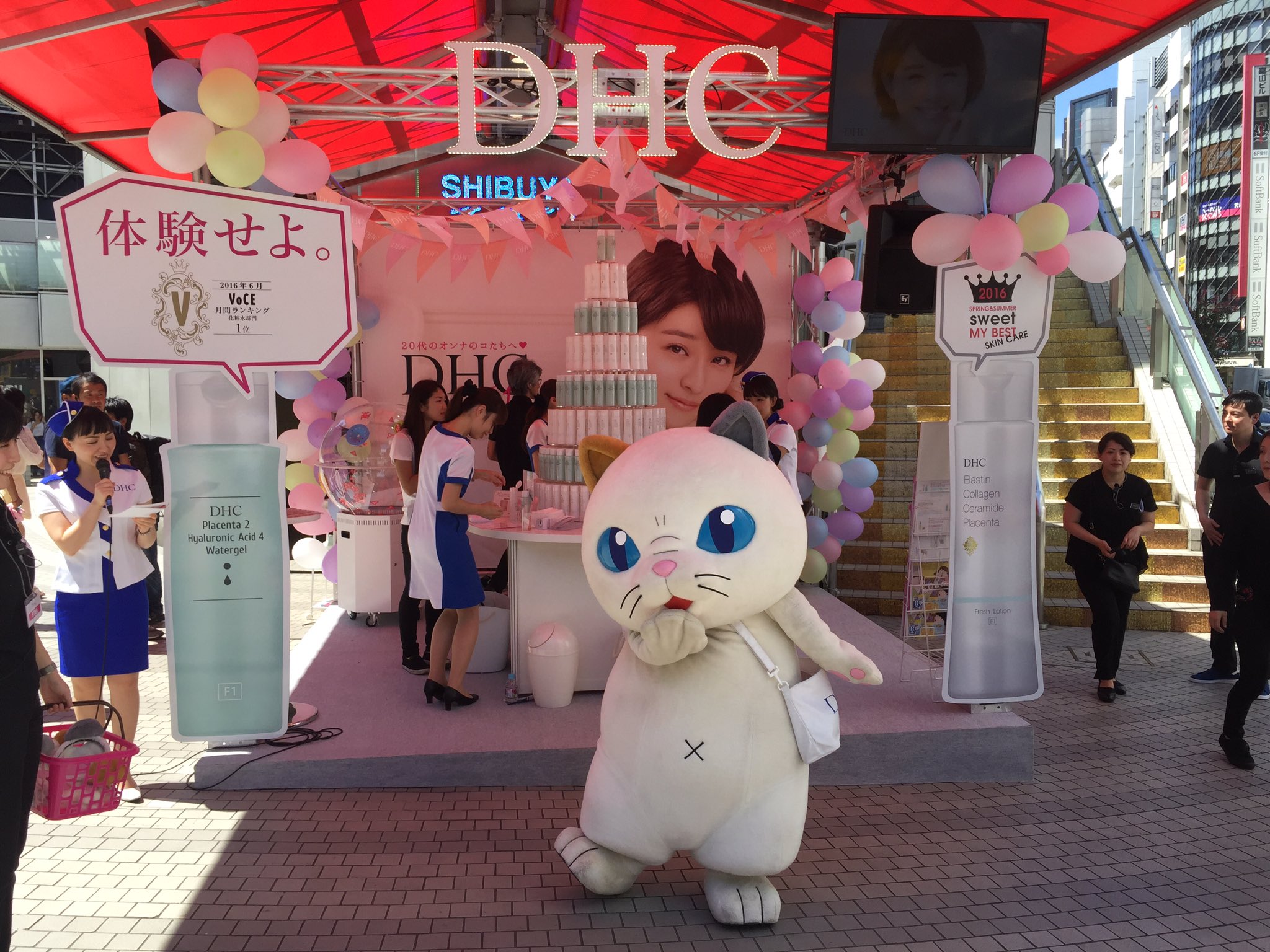 Dhc F1 シリーズ 公式アカウント Dhc F1 Twitter