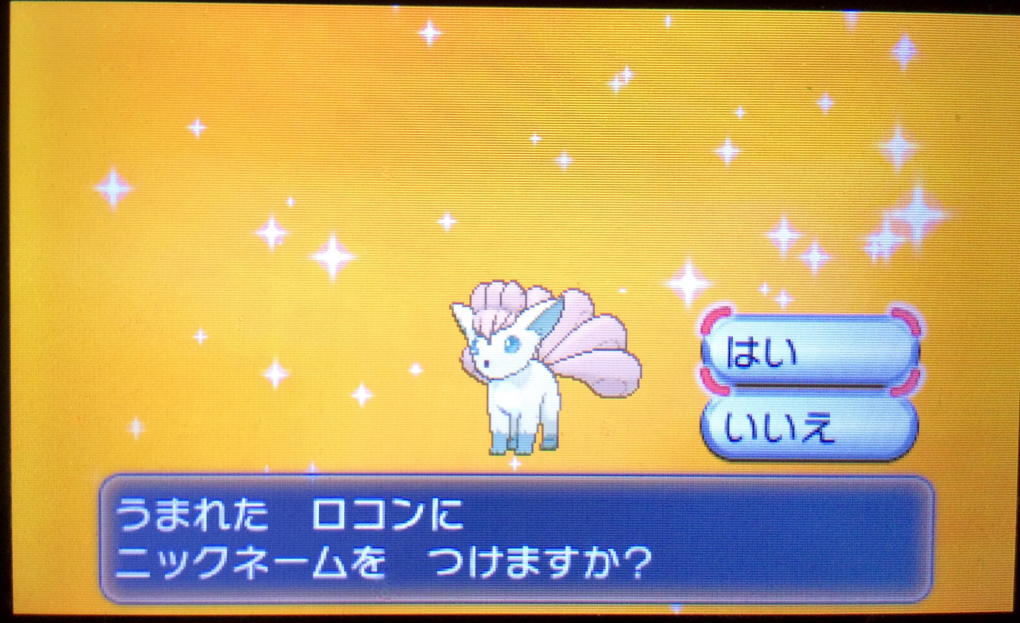 まお ポケモンx ソード Tn マオ やっと色ロコン孵化成功 226個目のタマゴでした Hbcdvの4v 日照りロコン嬉しいわぁ ドリボ夢 臆病フル遺伝色ロコン 大切に可愛がります ポケモン 色違いポケモン 国際孵化 T Co 6soel3gabv