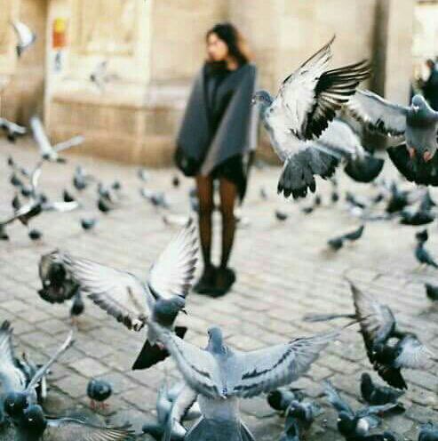 ✨🌸✨

وأنا عندما سقطت أمام مشاعري ، سقطت لأن صدقها خذلني .💭💔