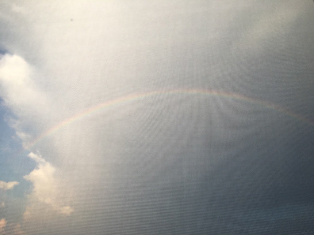 disney_nut76's tweet image. Rainbow #summerthunderstorms