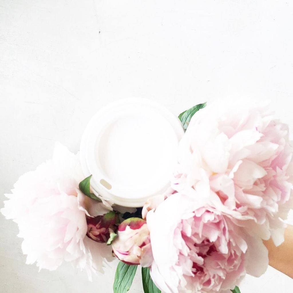 darlingletsgo's tweet photo. Someone finally got the memo and brought me peonies and coffee!! 😘💕 #pinkpeonies #coffeetime #weekendvibes #prettyl… https://t.co/jk3n00jkrJ