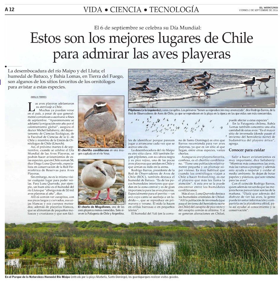 Algunos lugares para observar #avesplayeras en #Chile