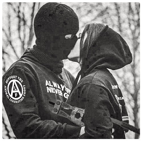 animal liberation front song animal liberation front song