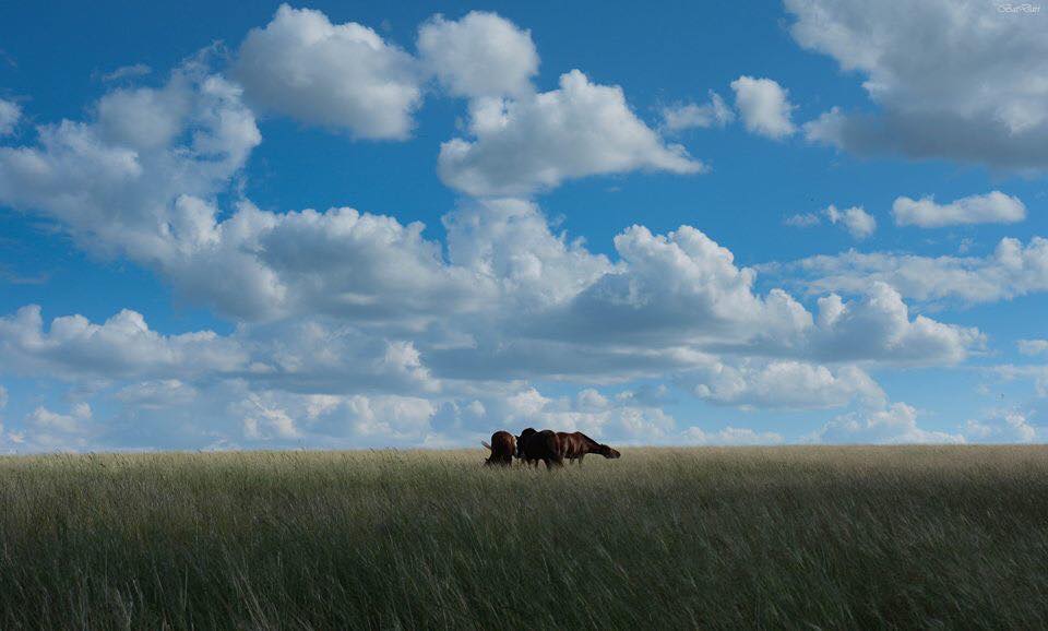 Мөнхчулууны Зоригт (@m_zorigt) on Twitter photo 