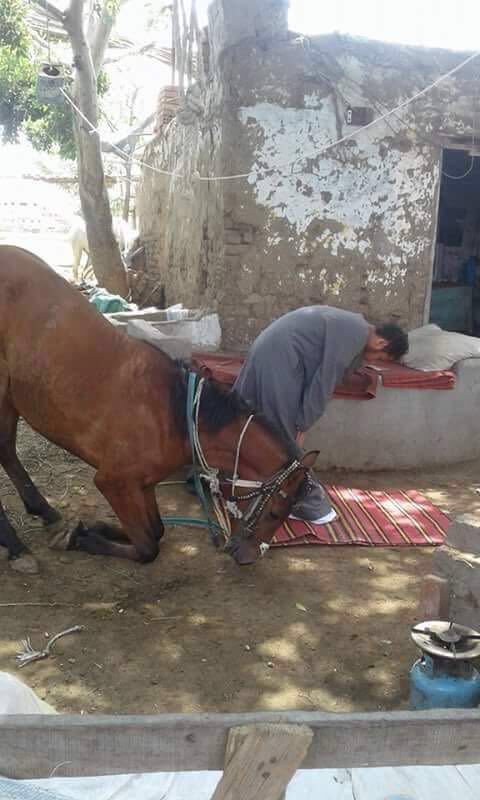 خليل بن سالم الهادي En Twitter لقطات تسبح له السماوات السبع