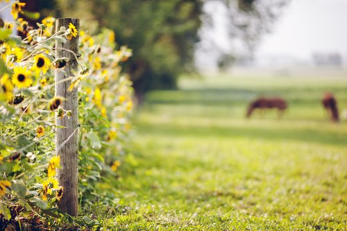ohmymares's tweet photo. Check out the new #ohmymares blog post - 5 stable yard jobs you need to do this September https://t.co/gSGoEGp6T2 https://t.co/kMBE3wEUE2