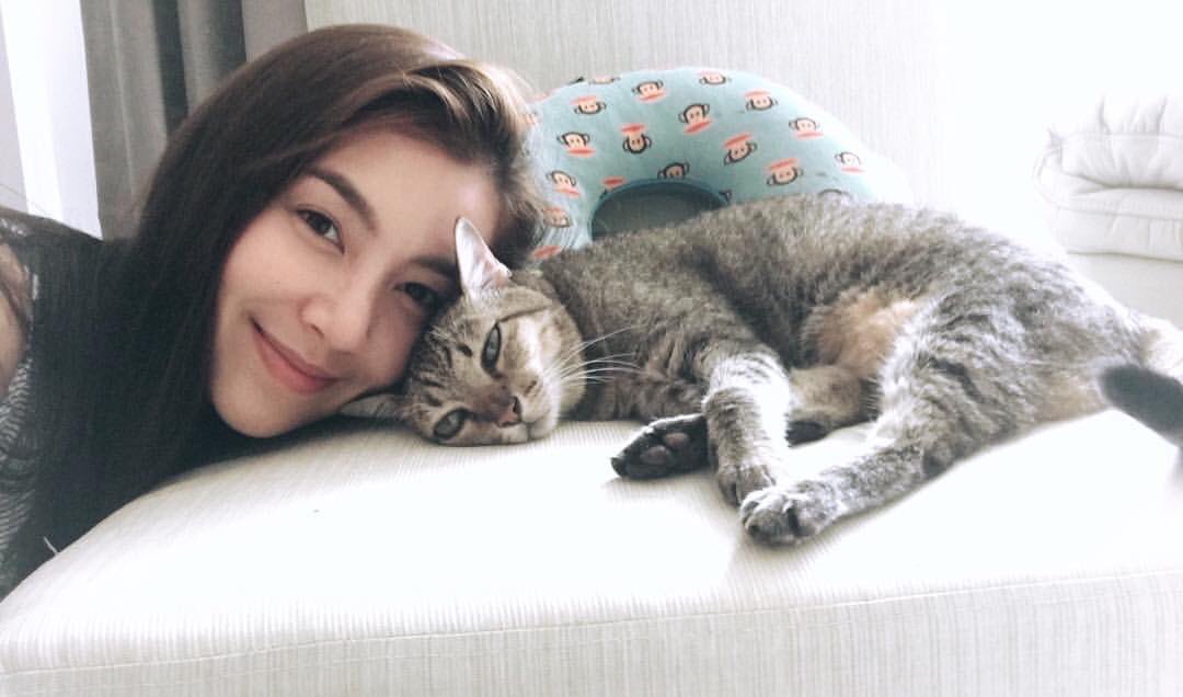 บางทีก็อยากเกิดเป็นไทเกอร์ #อ้วกบนพรมยังไม่มีใครตีเลย 😹😽😻