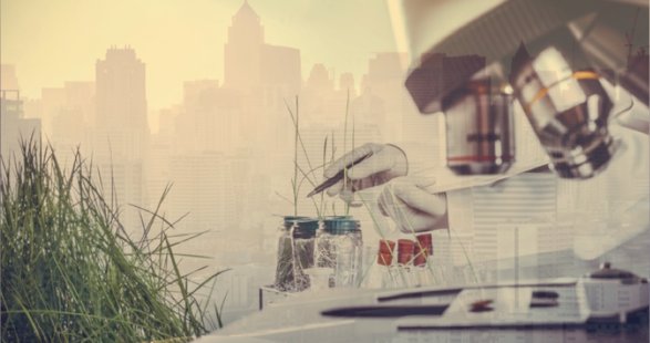 Cellular #agriculture: a way to feed tomorrow’s #SmartCity? ow.ly/nhfi303Oyn1