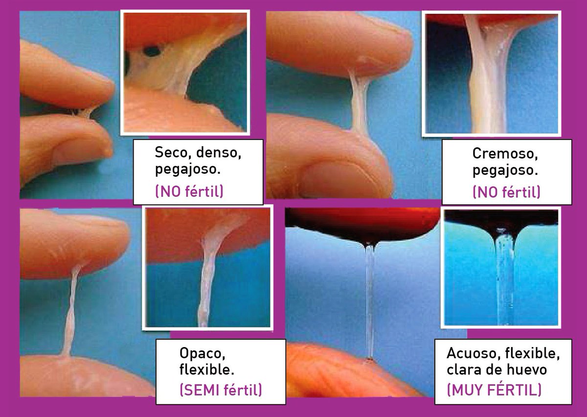 cosas que te provocan más flujo vaginal y no sabías scoopnest com