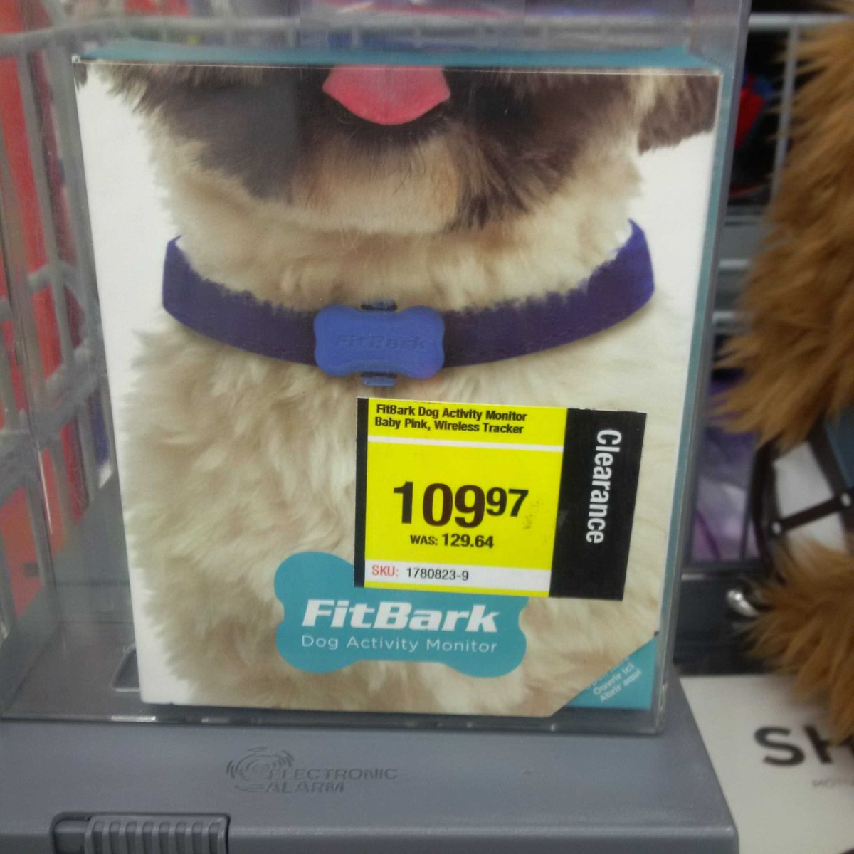 I have officially seen everything now #nolongeradogslife