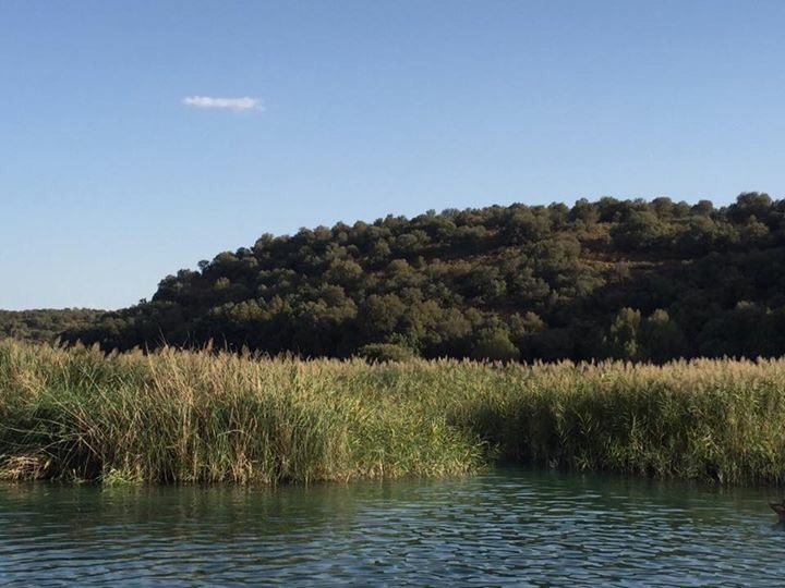 Francisco Martínez Arroyo tweet media