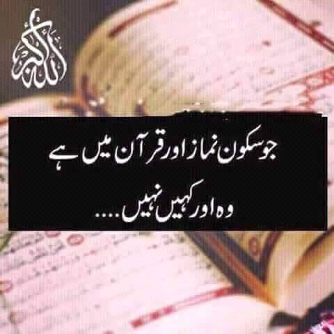 Amnamehar4's tweet photo. Beshak. https://t.co/UEd2mw1V38