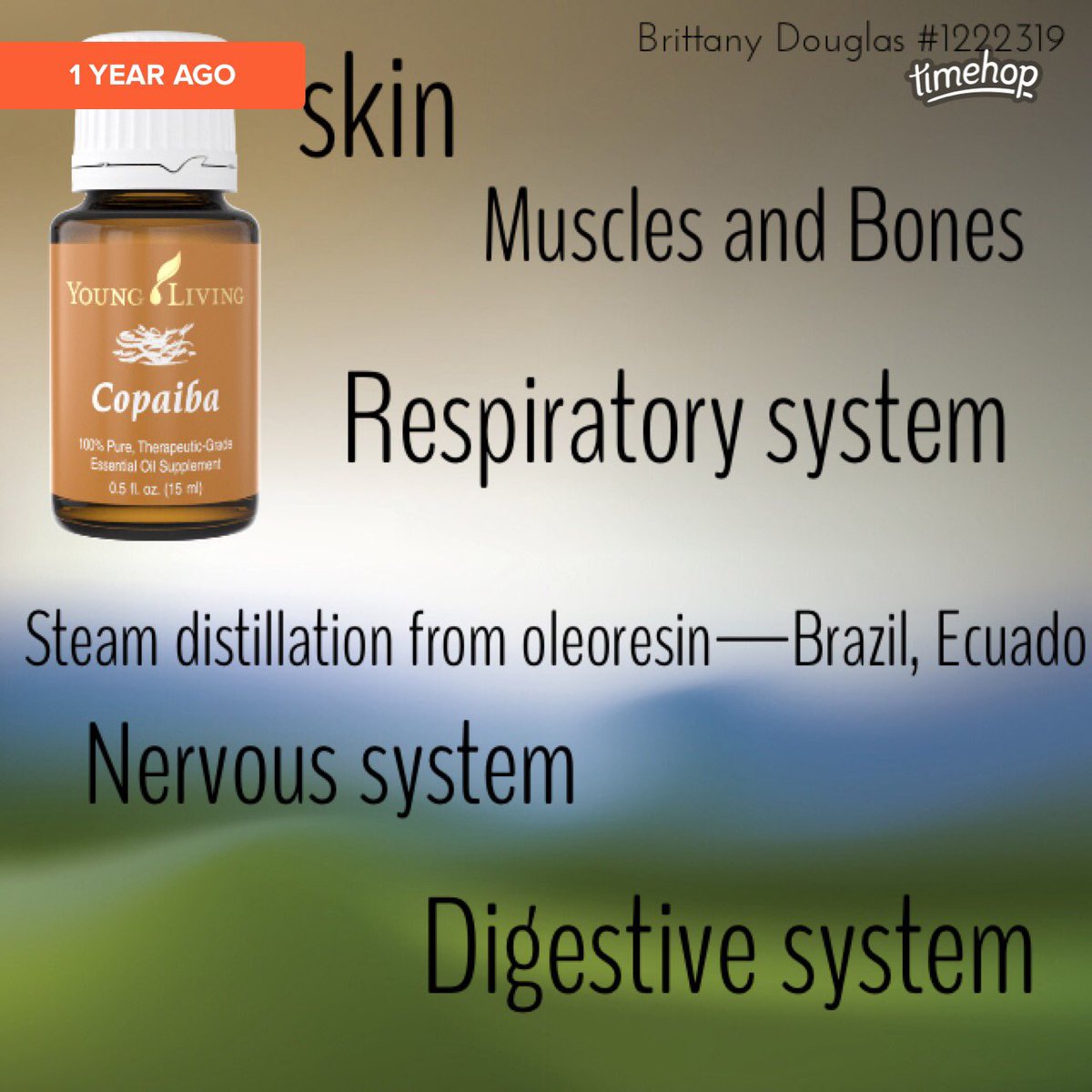 StartLiving247's tweet image. Copaiba #essentialoil #bodysystem #health #wellness