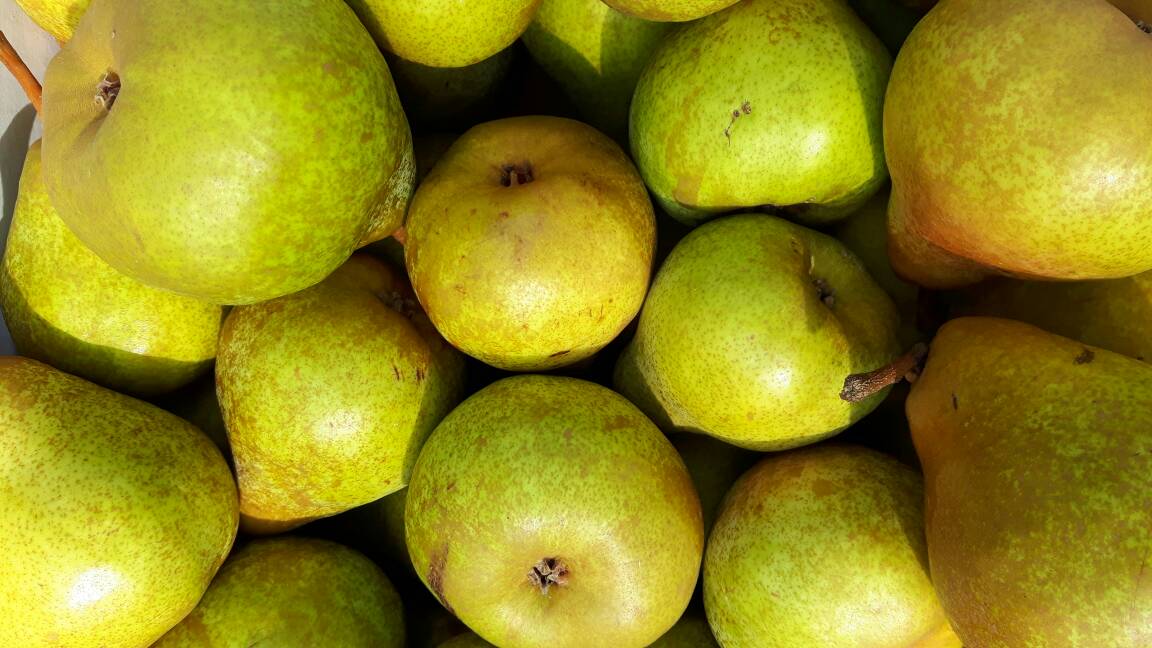 Rise and shine Calgary! It's the Hillhurst Sunnyside Farmers Market today from 9:30am to 1:30pm. See you there!