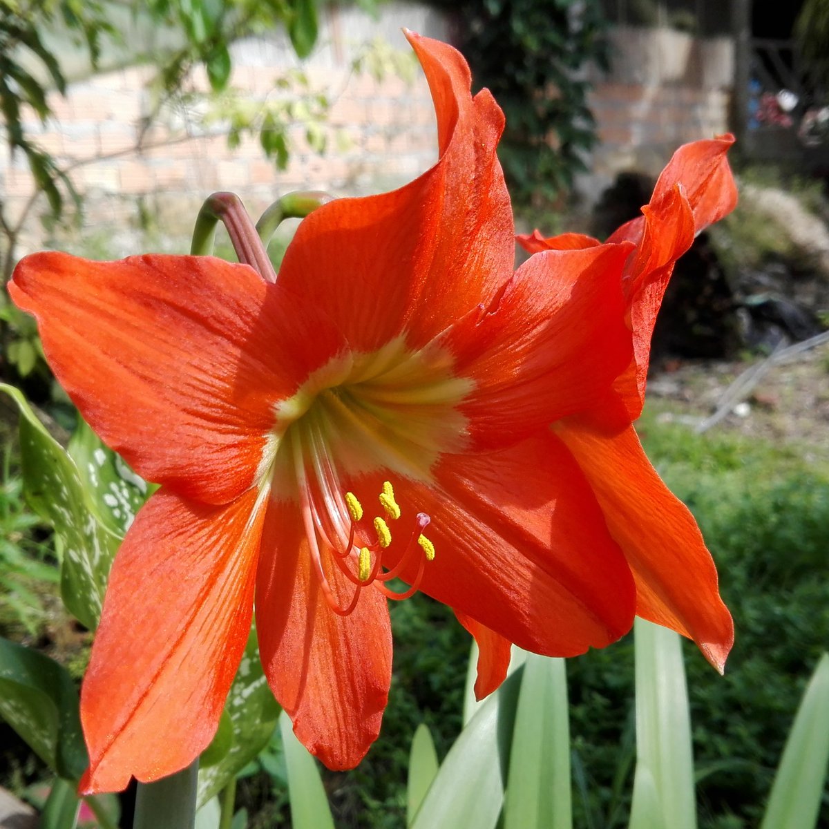 ceaesc's tweet image. 