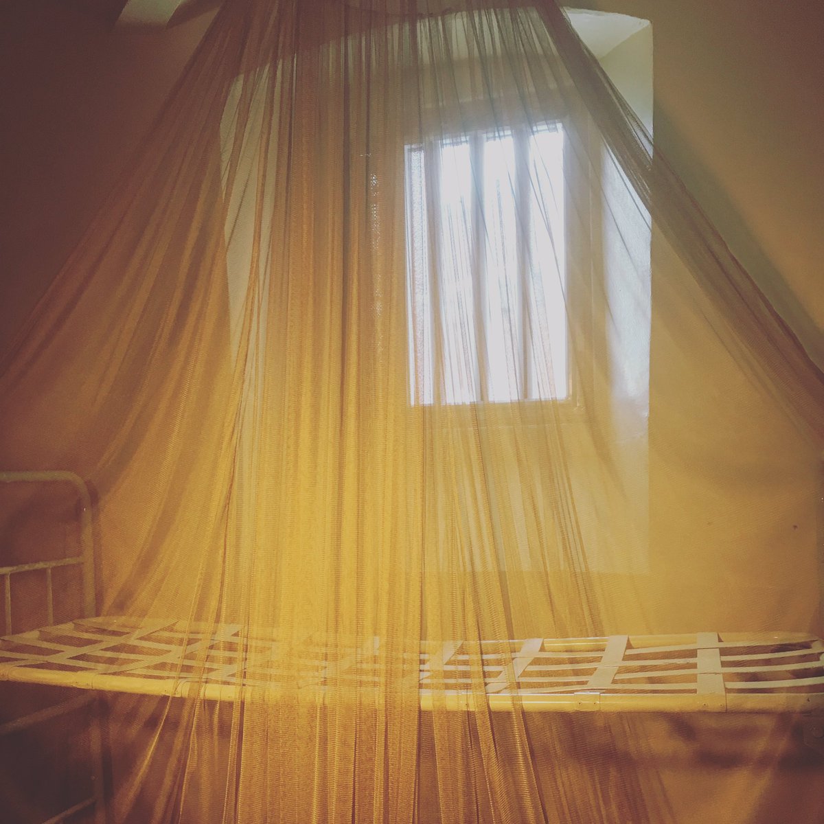 Steve McQueen gold mosquito net inspired by claustrophobic experience of being in a cell INSIDE @artangel OscarWilde