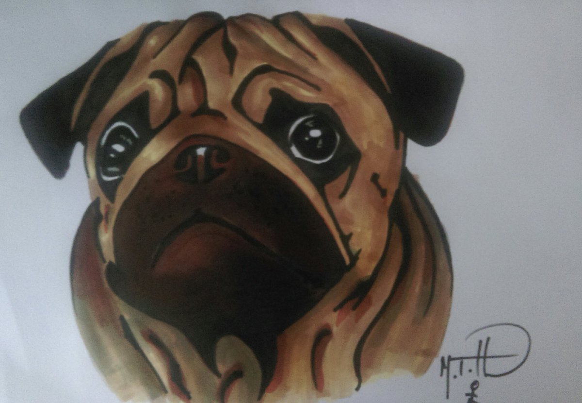 My first attempt at drawing a dog, I used promarker pens on plain paper. #holmansart #madeinwakefield