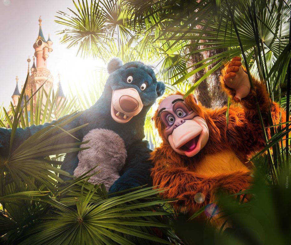 DisneyWinner's tweet image. It's a jungle out there.