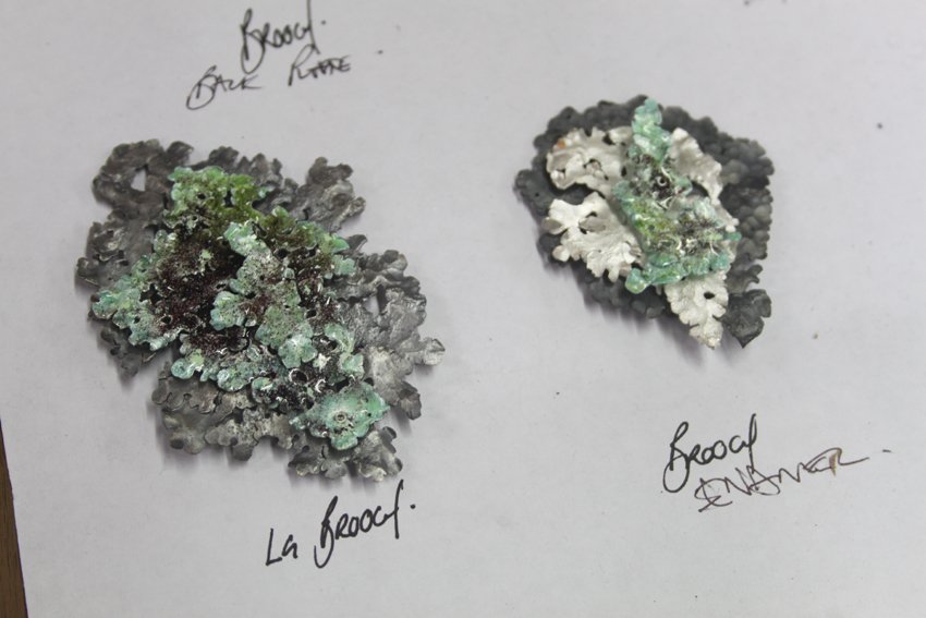 I'm working on a new collection of jewellery to launch at Goldsmiths' Fair. Based on lichen Flavoparmelia caperata.
