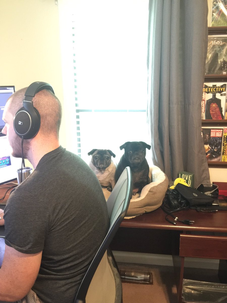 iammarian03's tweet photo. @LFdroid and his two favorite #pugs #streaming some #wowlegion today! @Twitch #puglife https://t.co/4S8VAlHPoh