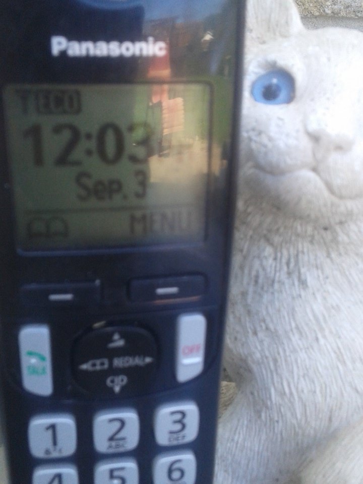 2ndluGwiG's tweet photo. IDcall/micromanagerinGbabysitters morningCall on audio 1-800s? pickUp receiver RU the billCollector?@CBCThisIsThat https://t.co/J9ANOT7FXo