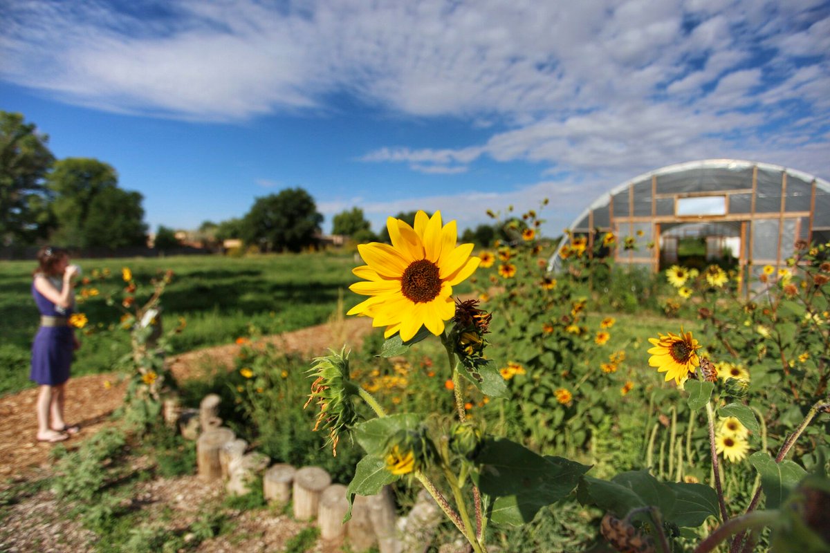 Laurence & Jessica - Finding the Universe tweet media