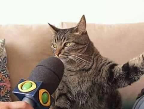 Ver imagem no Twitter Ver imagem no Twitter