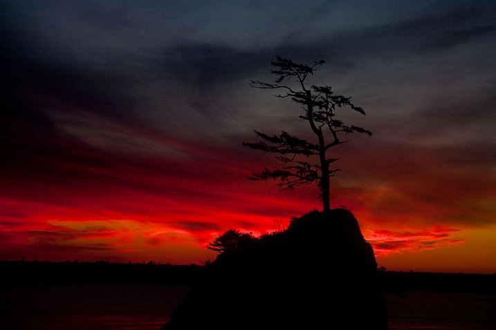 picjoyapp's tweet photo. Why should you work on a personal #photography project? https://t.co/StAbU7wPtZ via @digitalps https://t.co/cquwX8ho8t