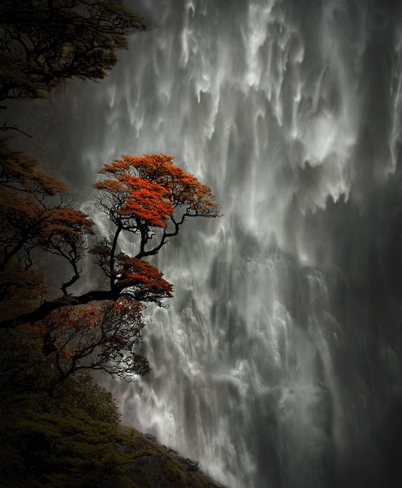 4732pxqh's tweet photo. Devil's Punchbowl Falls, New Zealand. https://t.co/PkXfB5GFBw