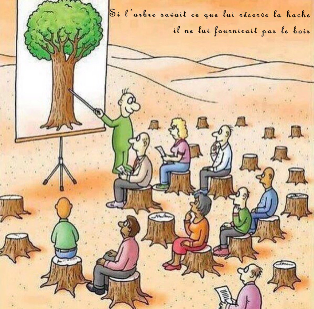 _jeangauthier's tweet photo. C'est profond 😜
#arbre #bois #hache #Philosophie #ecole #teatcher #school #tree #proverbeafricain #boucardiouf https://t.co/RG2ho6YAml