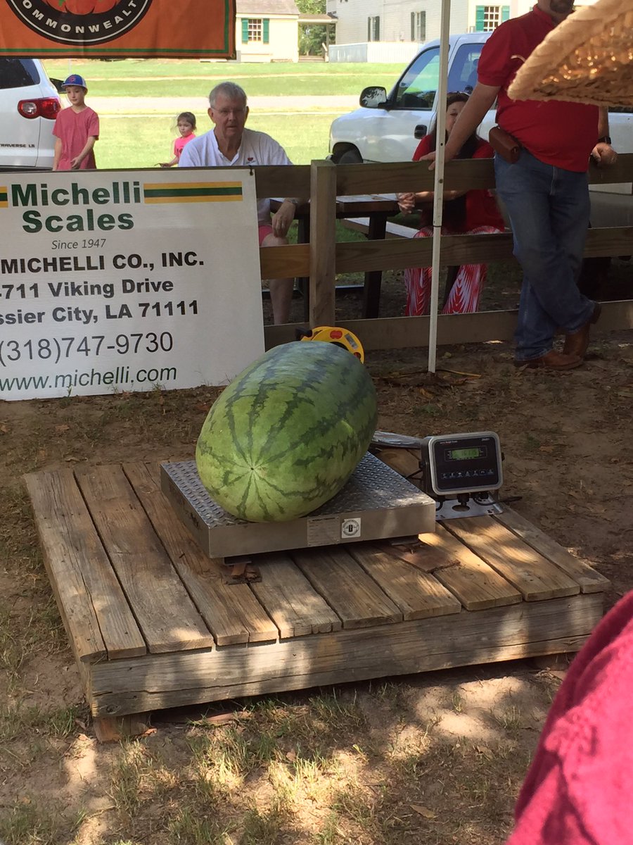 amy_wall's tweet photo. Annual watermelon weigh off. 198.6 lbs! #whatamelon https://t.co/qwgUTeZDgJ