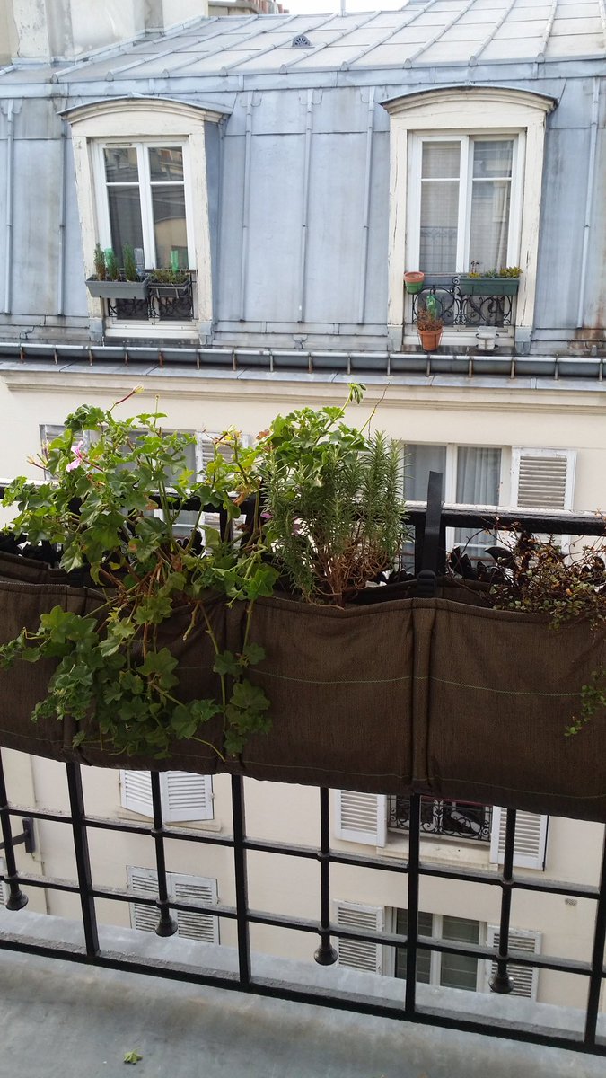 MC Lemardeley tweet media