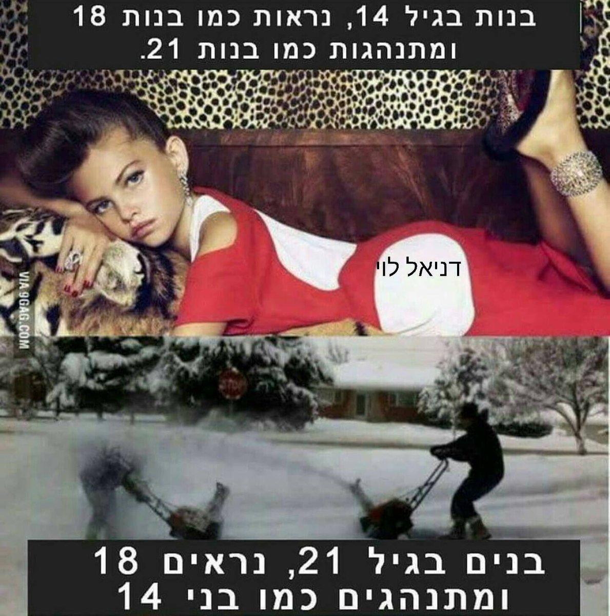 אביאל בוארון tweet media