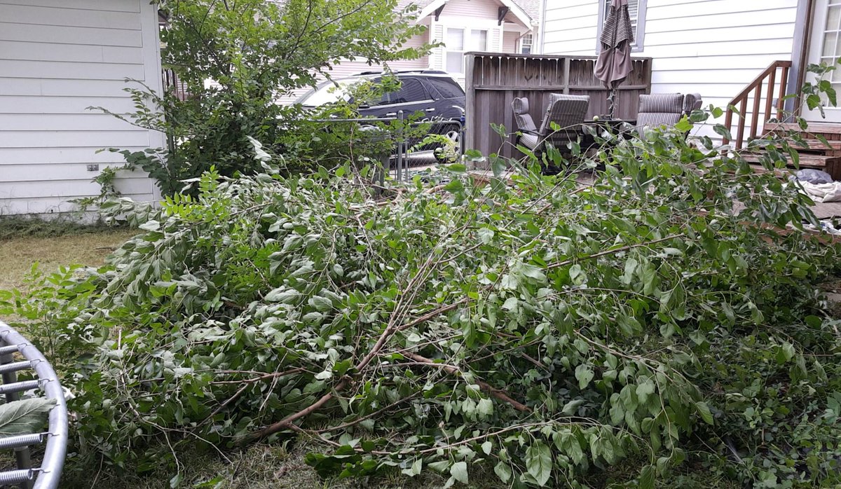 debboline's tweet image. I gotta find a trailer.  #yardcleanup2016 #trimallthetrees #longoverdue