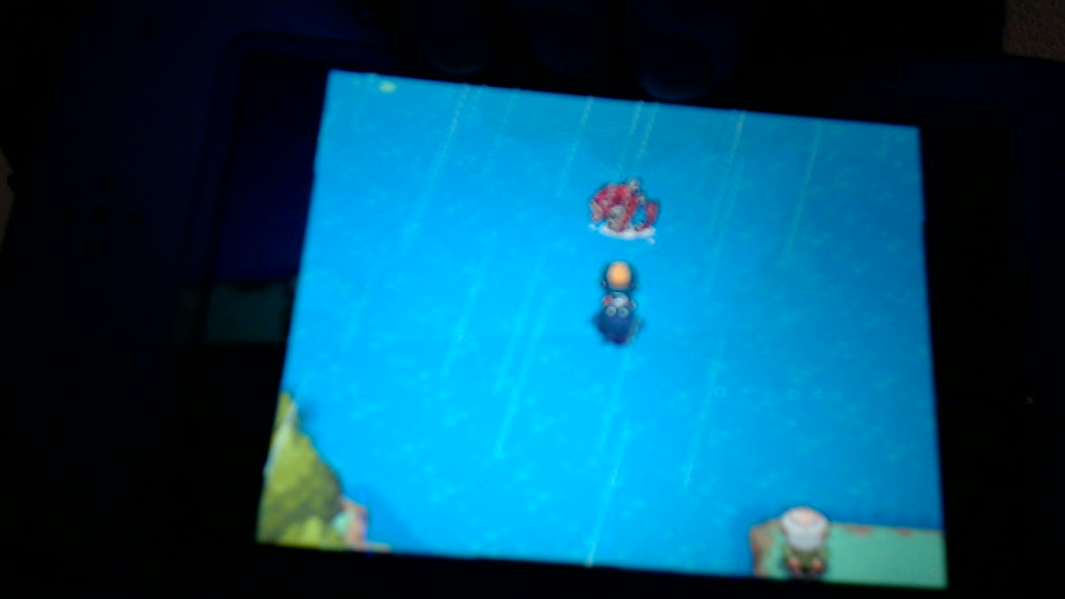 MosquitoSneak's tweet photo. Shiny Gyrados! 1 encounter! ( ͡° ͜ʖ ͡°) @JCBLPs @Kaitjuh_ @gmw1994_ @SpaceDuck90 @rummtings @Sami_Melody @Cloud7470 https://t.co/YLdVKdcdFc