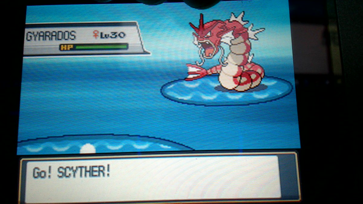 MosquitoSneak's tweet photo. Shiny Gyrados! 1 encounter! ( ͡° ͜ʖ ͡°) @JCBLPs @Kaitjuh_ @gmw1994_ @SpaceDuck90 @rummtings @Sami_Melody @Cloud7470 https://t.co/YLdVKdcdFc