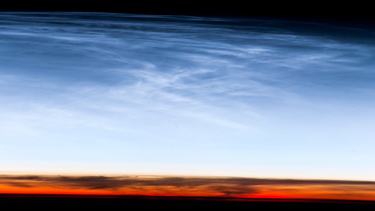 Jeff Williams tweet media