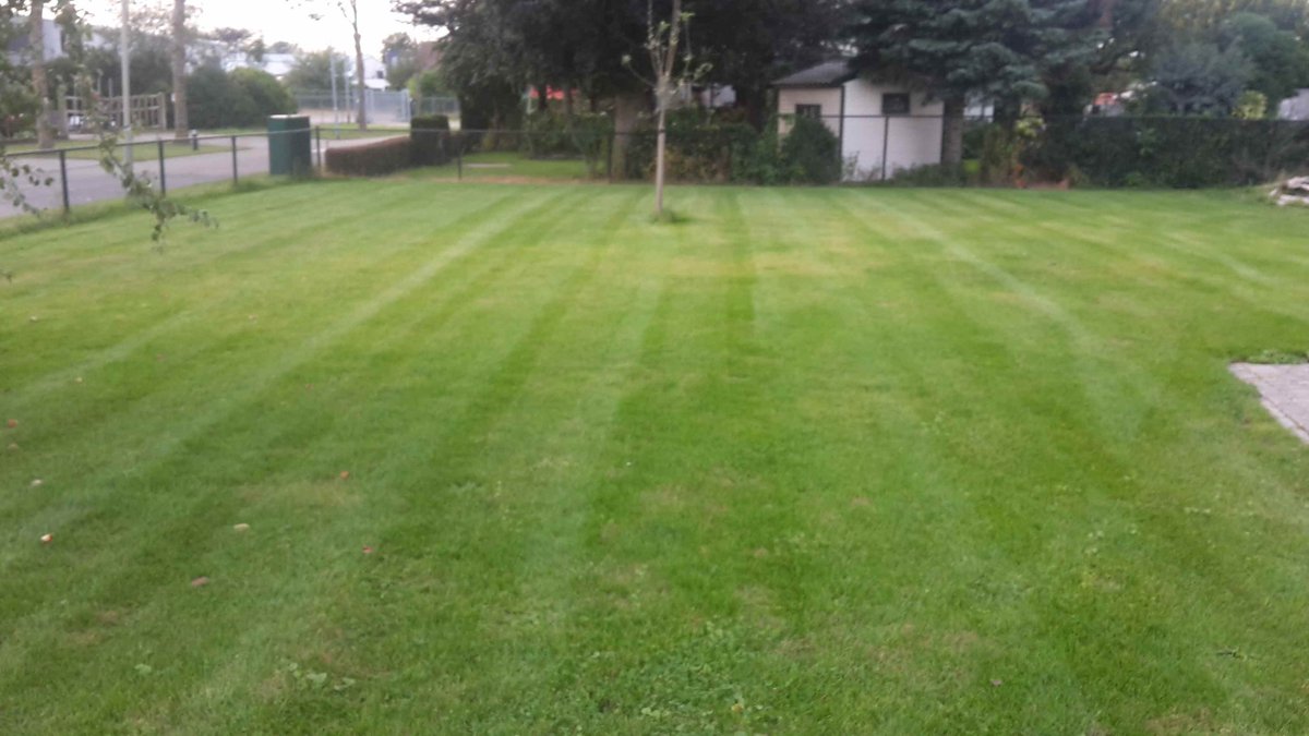 Mooi weekje weer gehad. #valtra #holaras #steyer #areco #linde #viking