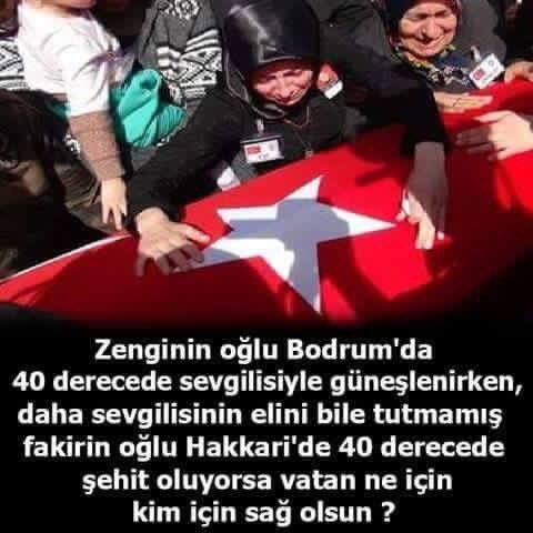 ÇUKURCA: 7 ŞEHİT 20 YARALI
ŞEMDİNLİ: 5 ŞEHİT 6 YARALI
VAN TENDÜREK: 8 ŞEHİT 8 YARALI

Biri bana nedenini anlatsın.!
