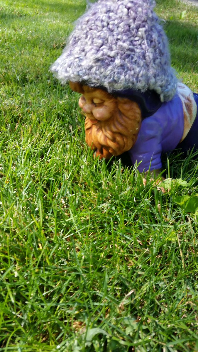 CoyoteXCTF's tweet image. Turns out not everyone finished the race today.... Found this little guy stuck on the course #spalding #turtlepace
