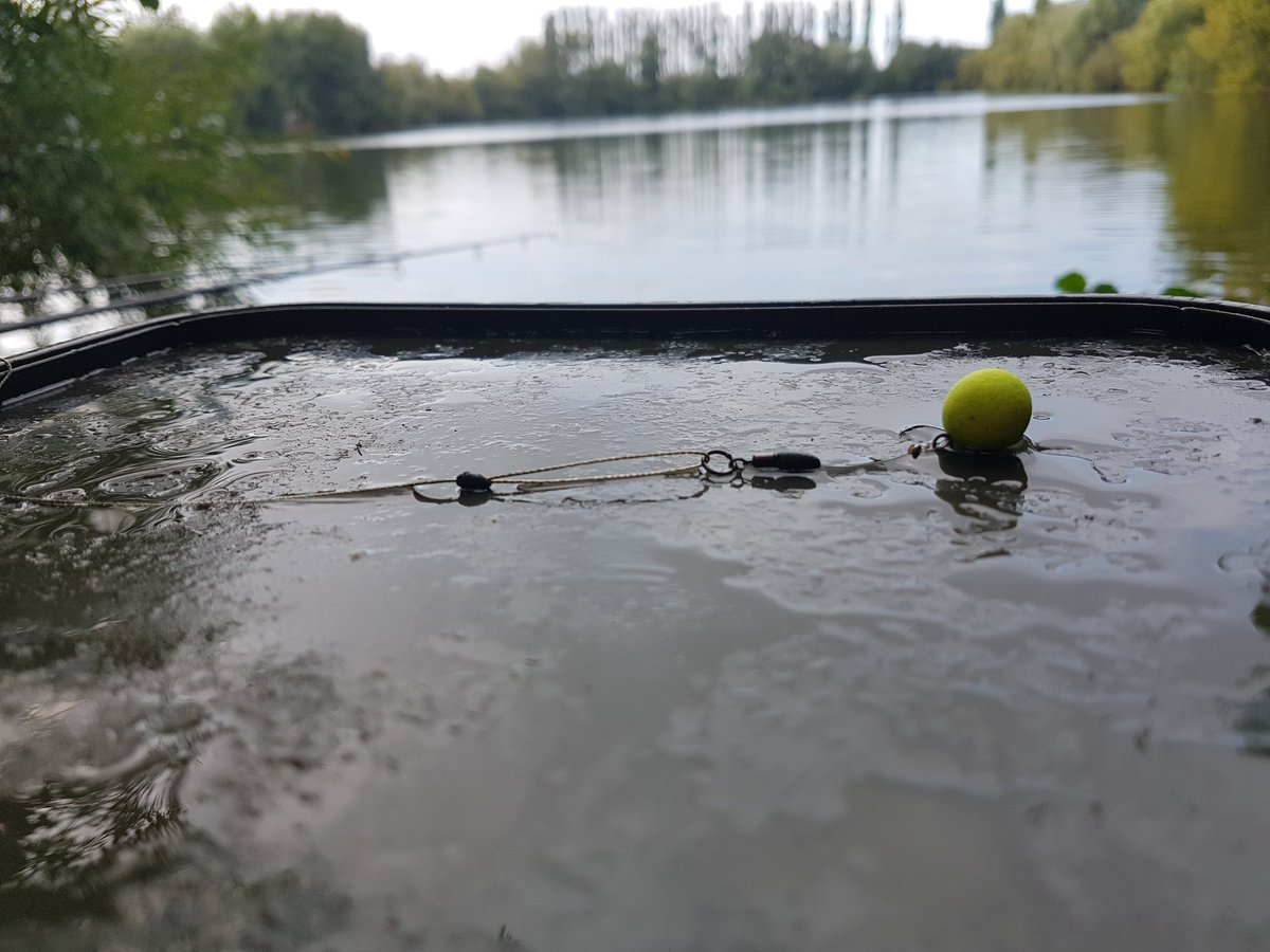 Bearded Carper (@beardedcarper) on Twitter photo 