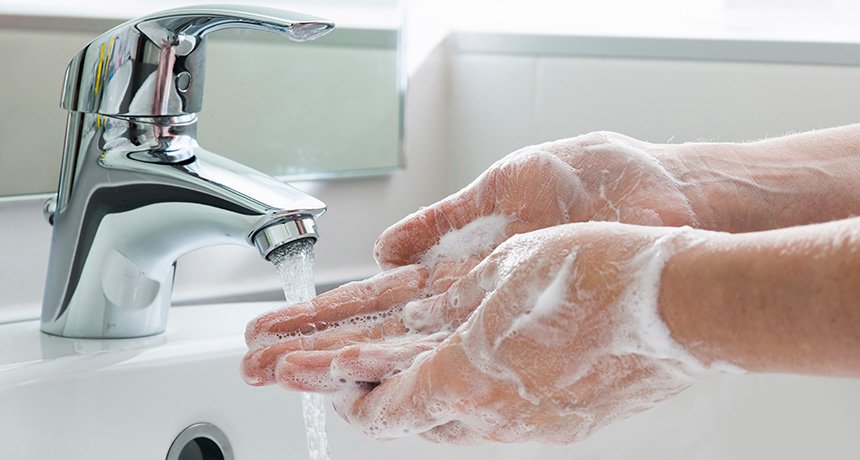 ScienceNews's tweet photo. FDA bans "antibacterial" soaps that contain triclosan: https://t.co/SCwxotWN6y https://t.co/Ev0saFuRG8
